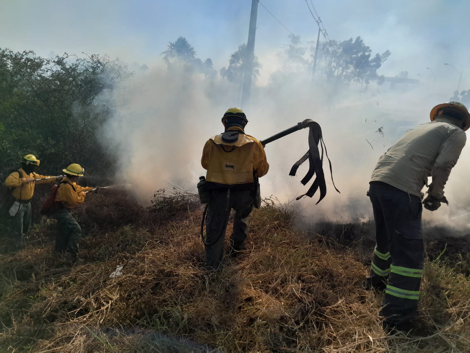 Incendios en inmediaciones de la ruta Luque - San Bernardino. Foto: Gentileza.