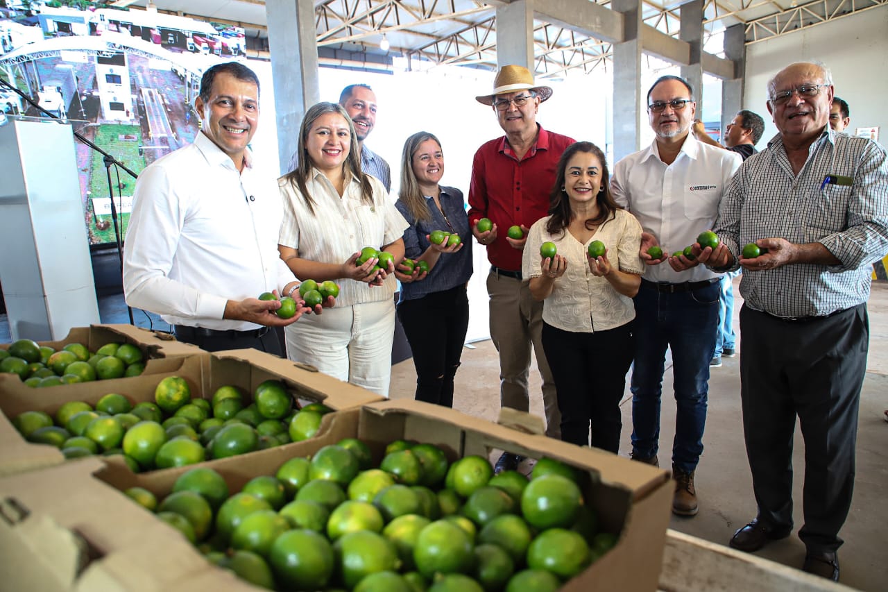 Exportación de limón Tahiti. Foto: Gentileza.