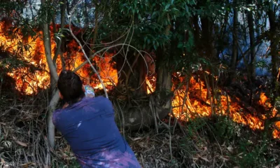 Incendio forestal. Foto: DW