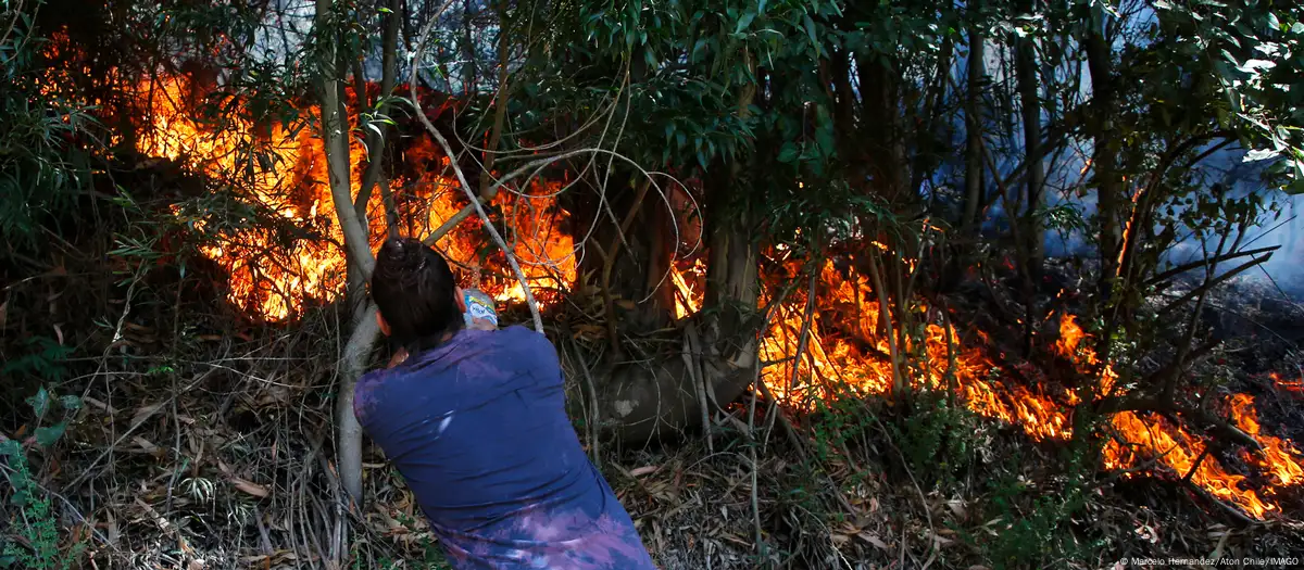 Incendio forestal. Foto: DW