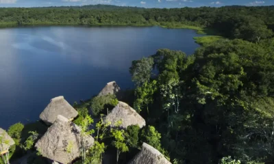 Parque Nacional Yasunì en Ecuador. Foto: DW.