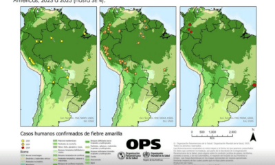 En el último año, se han confirmado 61 casos de fiebre amarilla en humanos en la Región de las Américas. Foto: Agencia IP