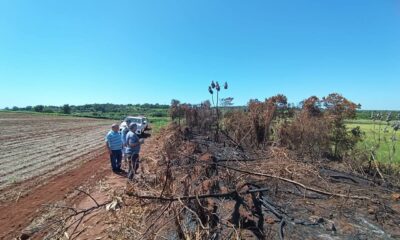 La propiedad sufrió la quema y tala de vegetación nativa. Foto: Ministerio.