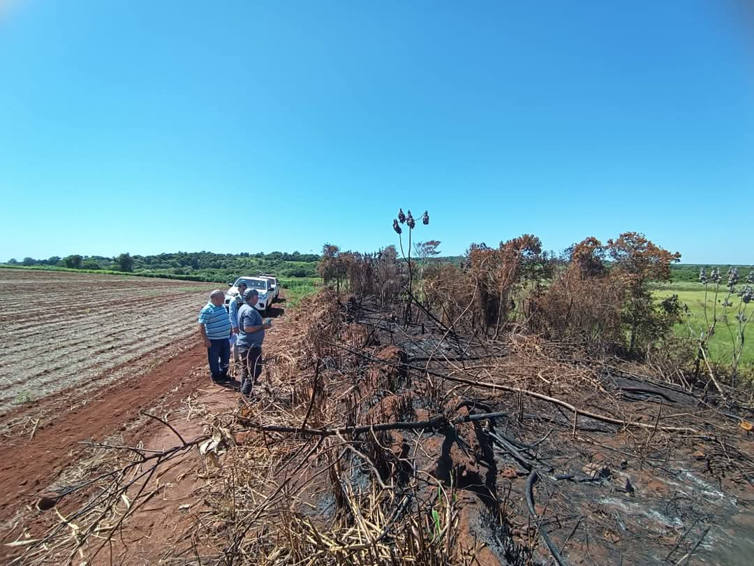 La propiedad sufrió la quema y tala de vegetación nativa. Foto: Ministerio.