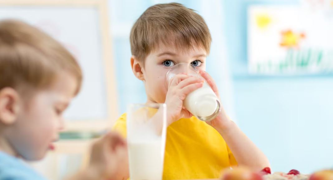 Importancia de la leche en la etapa escolar. Foto: Ilustrativa.