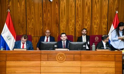 Sesión de diputados. Foto: Gentileza.