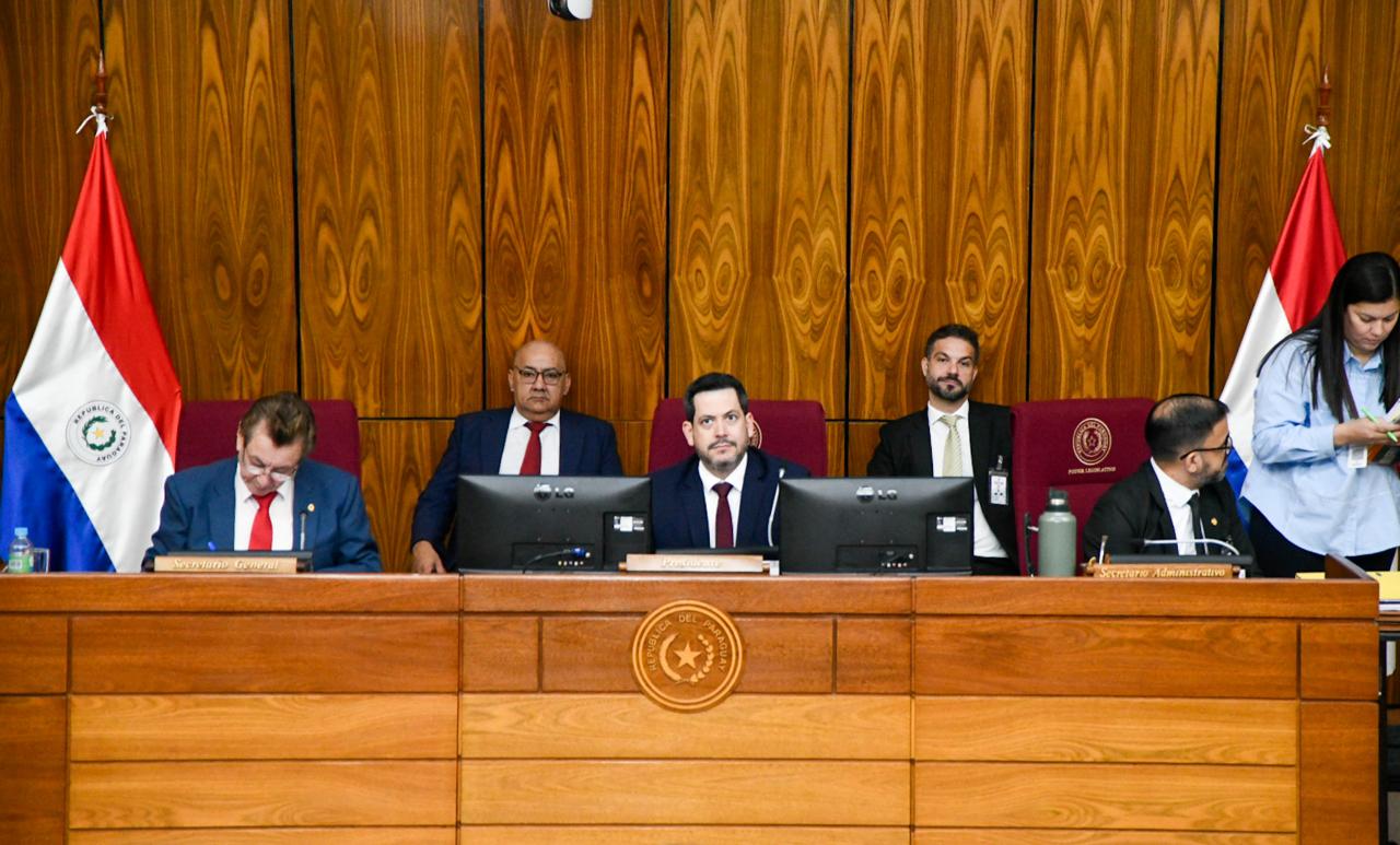 Sesión de diputados. Foto: Gentileza.