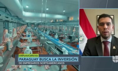 El Viceministro también habló de la intención de Paraguay de convertirse en el centro digital de toda Sudamérica. Foto: Captura de pantalla.