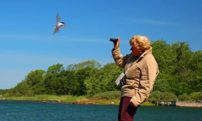 Los finlandeses explican su felicidad, entre otros, con su disfrute de la naturaleza y su "tasa de devolución de carteras perdidas". Foto: DW