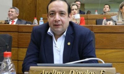 Avelino Dávalos Estigarribia. Foto: Diputados.