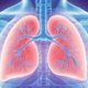 Las vías respiratorias dañadas y las infecciones pueden convertirse en un círculo vicioso: cada infección provoca más daños en las vías respiratorias y, con el tiempo, pierden la capacidad de introducir y expulsar el aire (Imagen Ilustrativa Infobae)