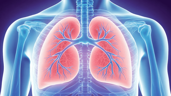 Las vías respiratorias dañadas y las infecciones pueden convertirse en un círculo vicioso: cada infección provoca más daños en las vías respiratorias y, con el tiempo, pierden la capacidad de introducir y expulsar el aire (Imagen Ilustrativa Infobae)