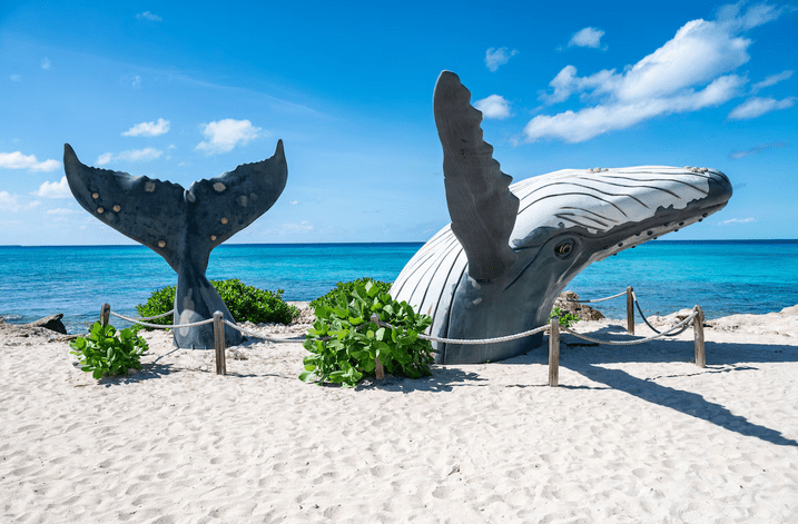 Las Islas Turcas y Caicos son un destino famoso por sus playas de arena blanca y arrecifes de coral. (NAPA)