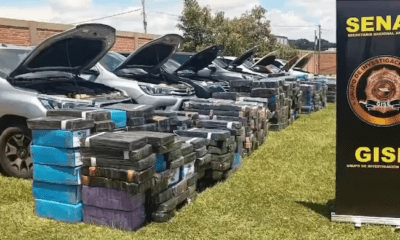 Parte de la carga que llevaba los 14.200 kilos de droga. Foto: Gentileza.