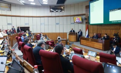 Sesión del Senado. Foto: Gentileza.