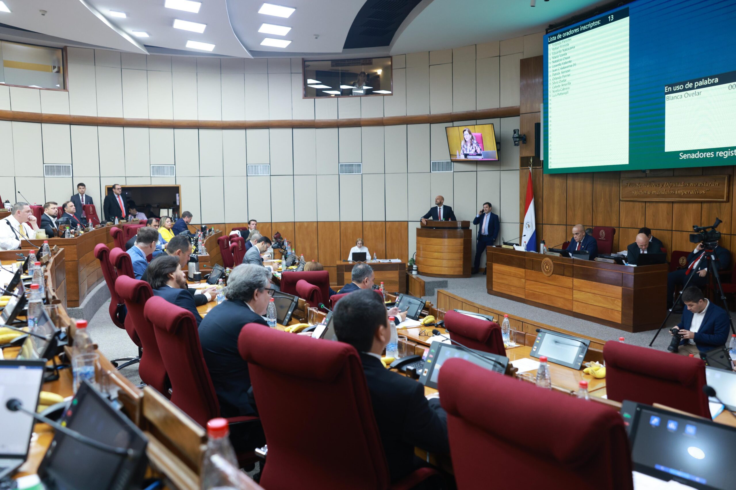 Sesión del Senado. Foto: Gentileza.