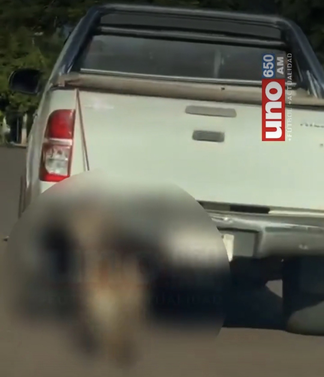 Imagen de la camioneta arrastrando a un perro con correa. Foto: Captura de pantalla.