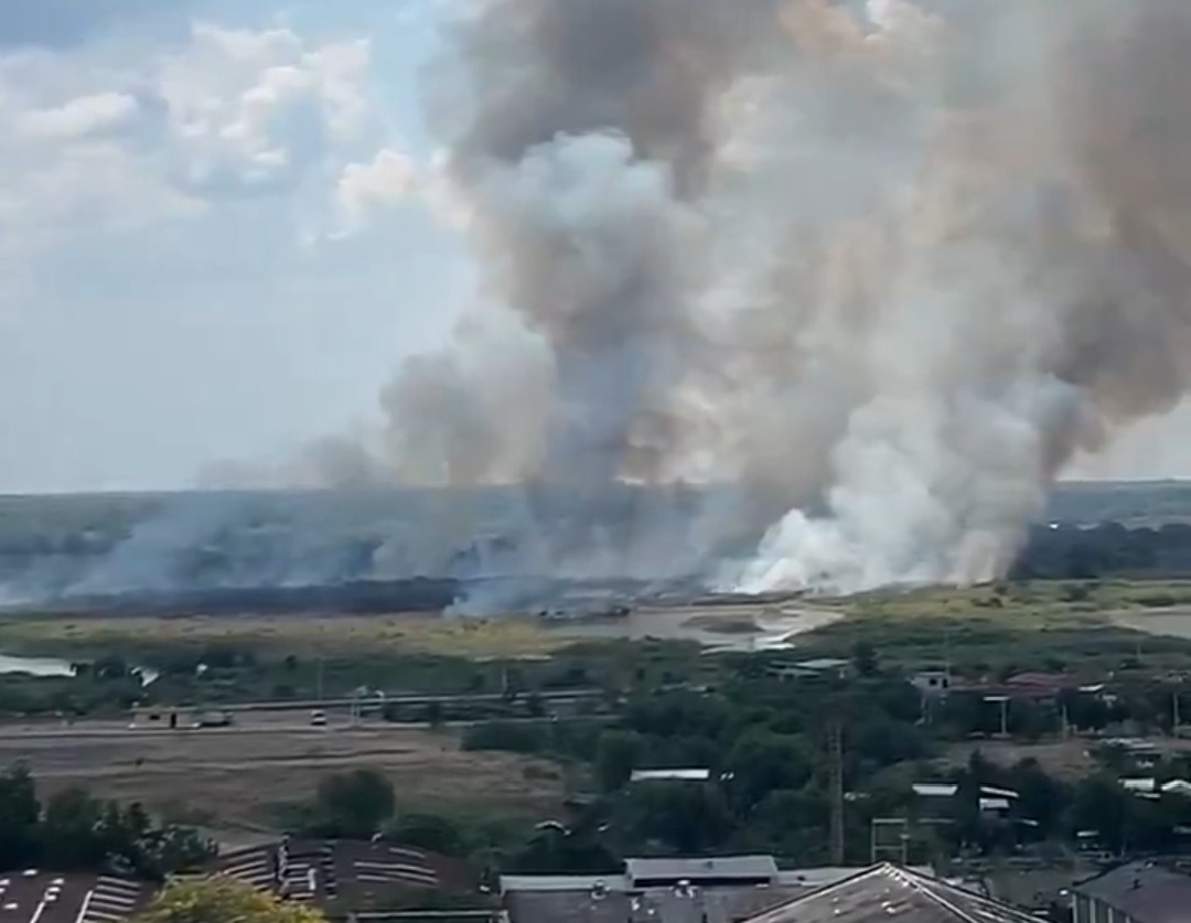 Incendio en la Costanera Norte de Asunción. Foto: Captura.